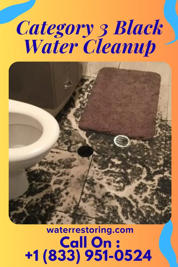 Category 3 Black Water Cleanup in Irmo, SC