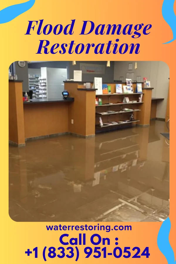 Flood Damage Restoration in Irmo, SC