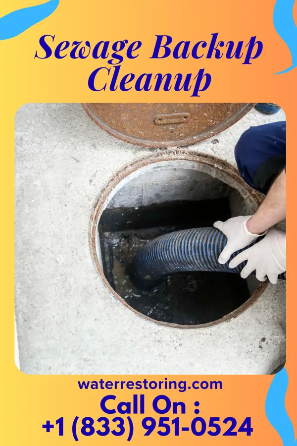 Sewage Backup Cleanup in Irmo, SC