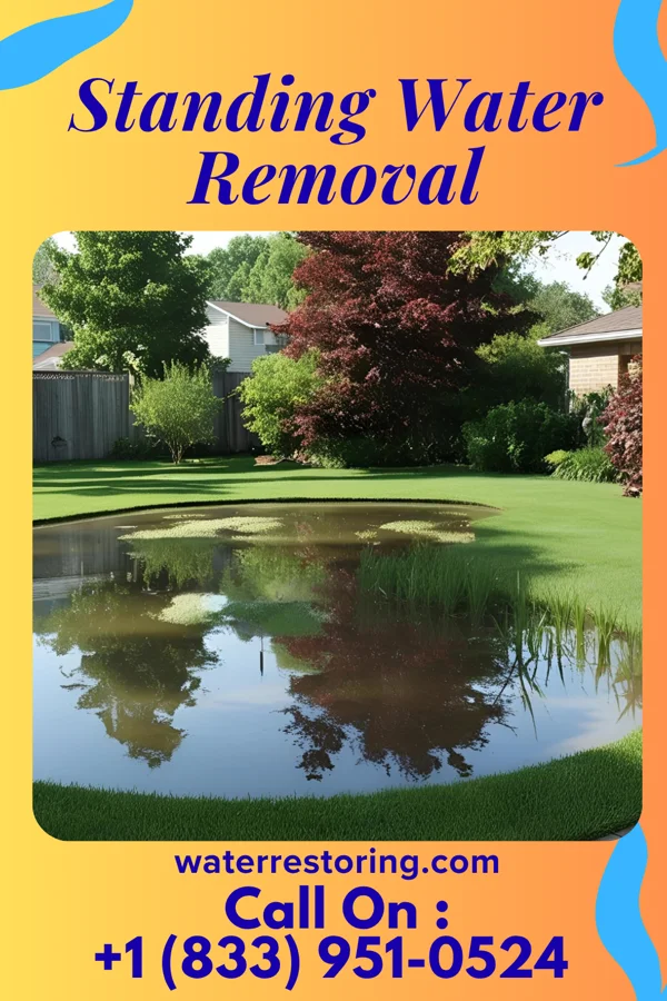 Standing Water Removal in Irmo, SC